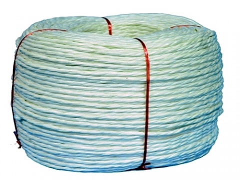 เชือกขาวเกลียว